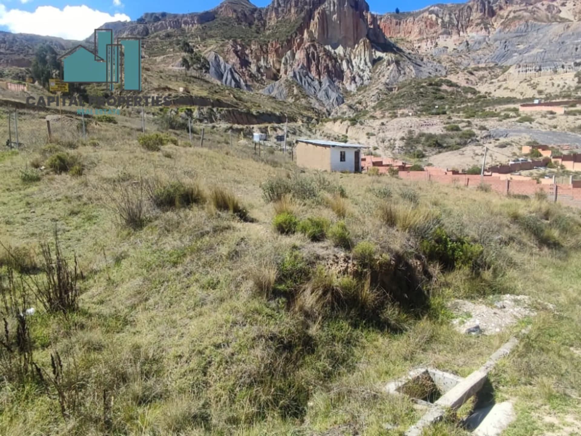 Foto 4 de 5