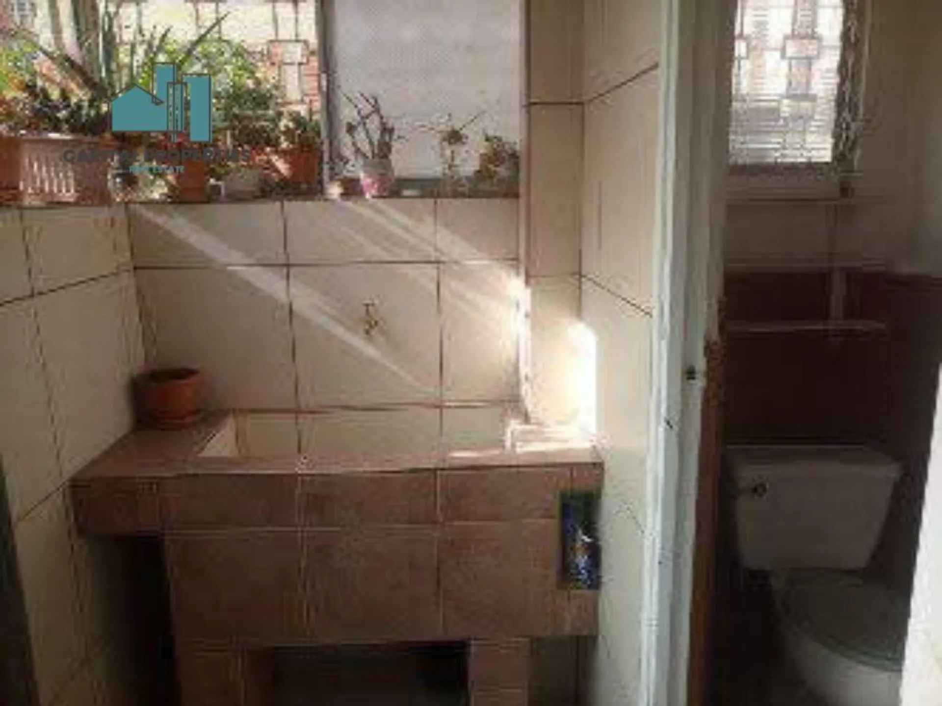 Foto 6 de 7