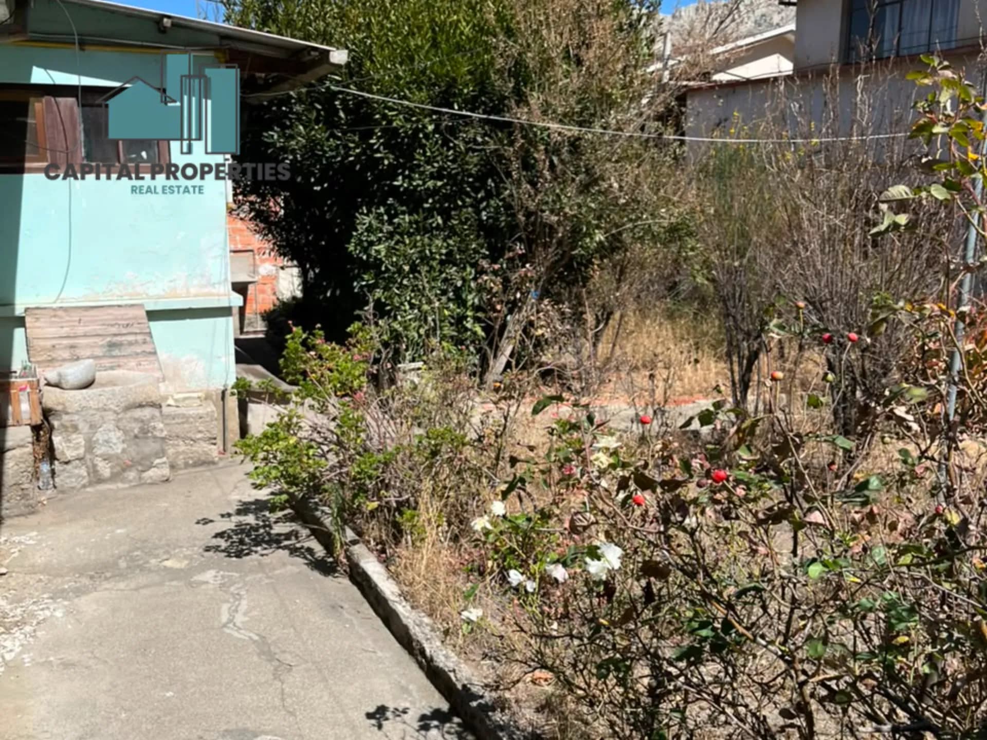 Foto 11 de 11