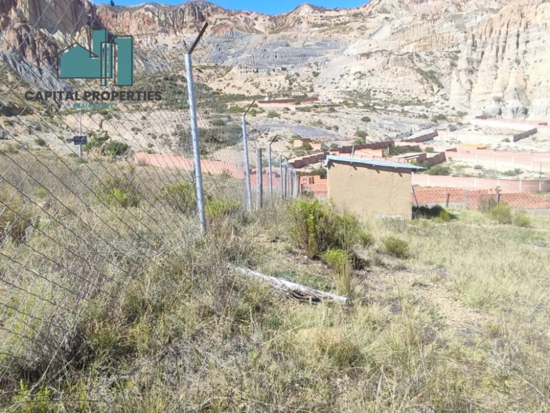 Foto 5 de 5