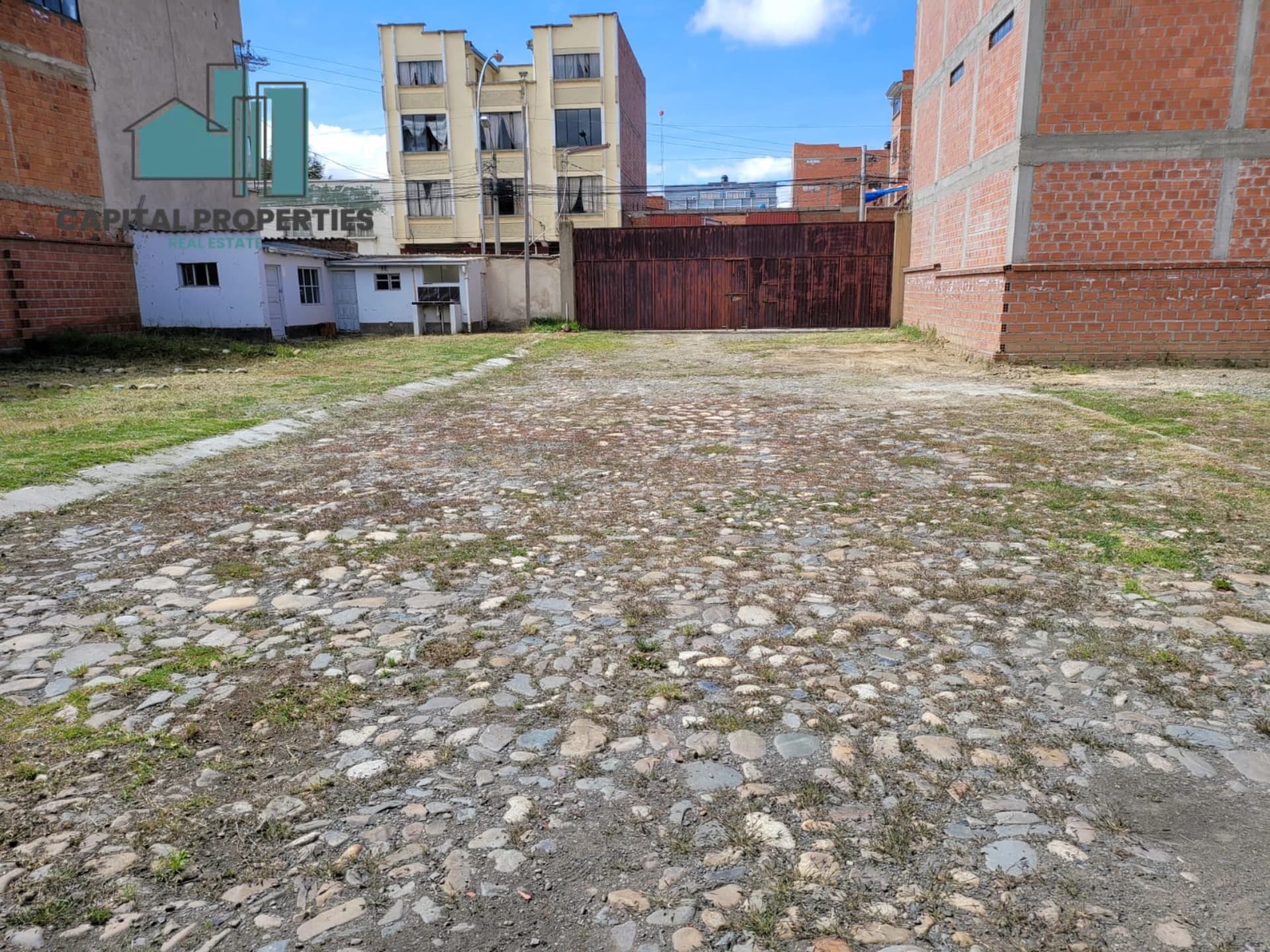 Foto 7 de 7