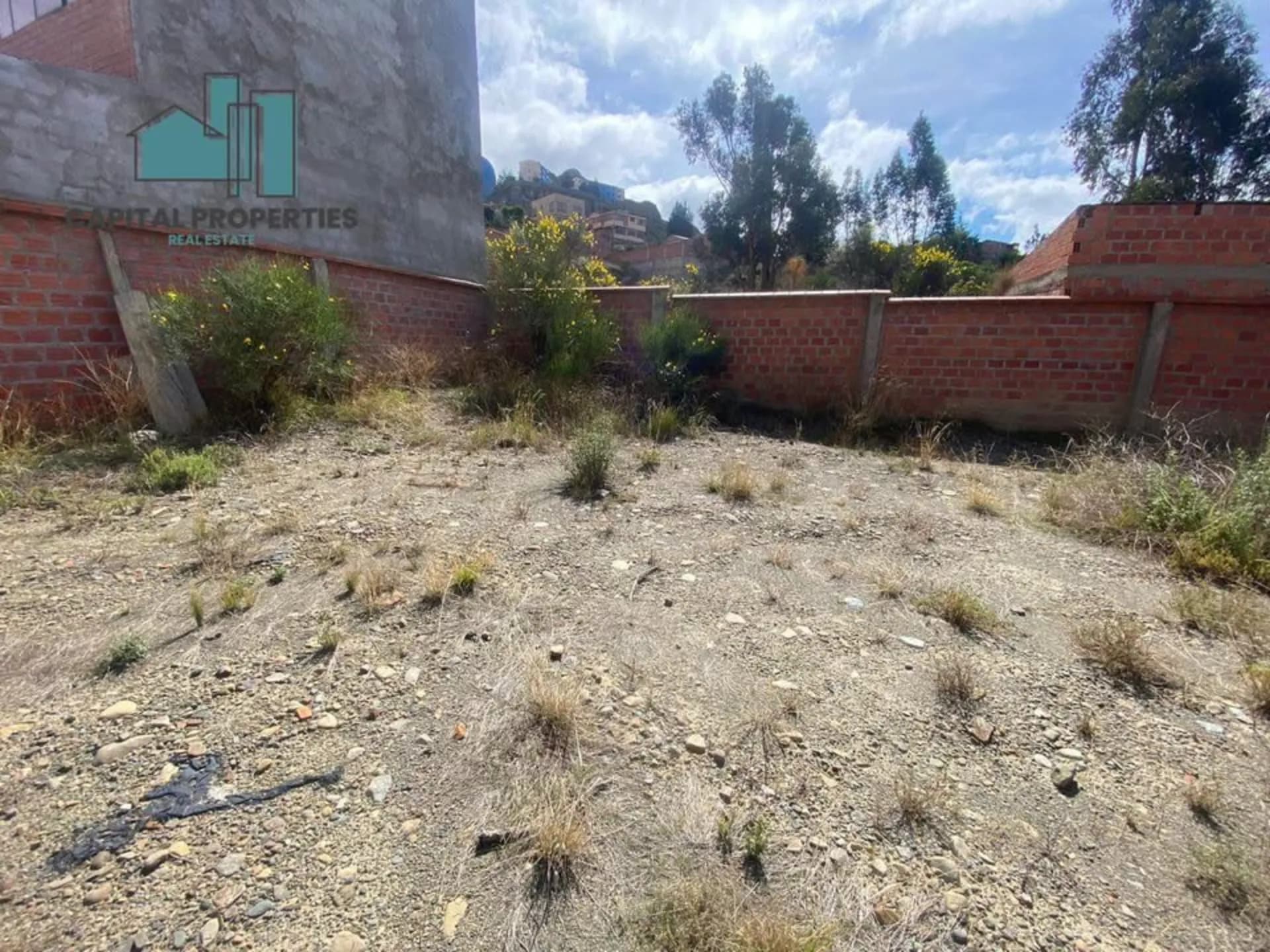 Foto 3 de 5