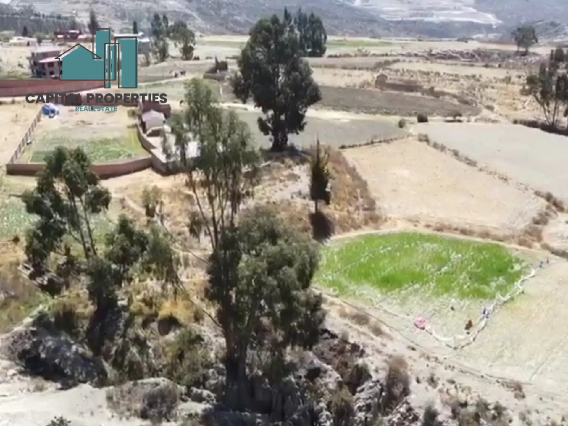 Foto 3 de 4